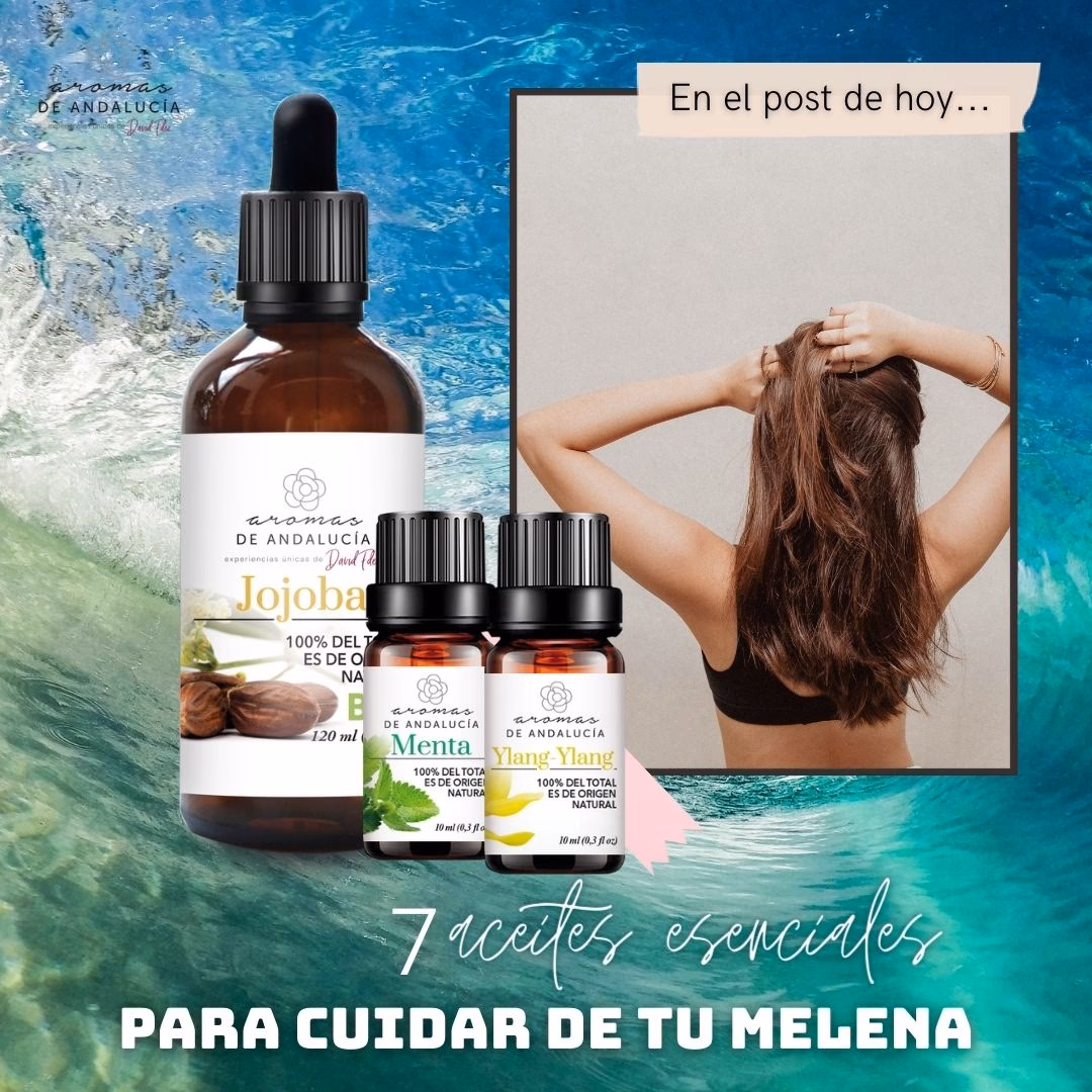 ¿Cuáles son los mejores aceites esenciales para el crecimiento del cabello?