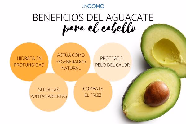 ¿El aguacate es realmente bueno para el cabello?