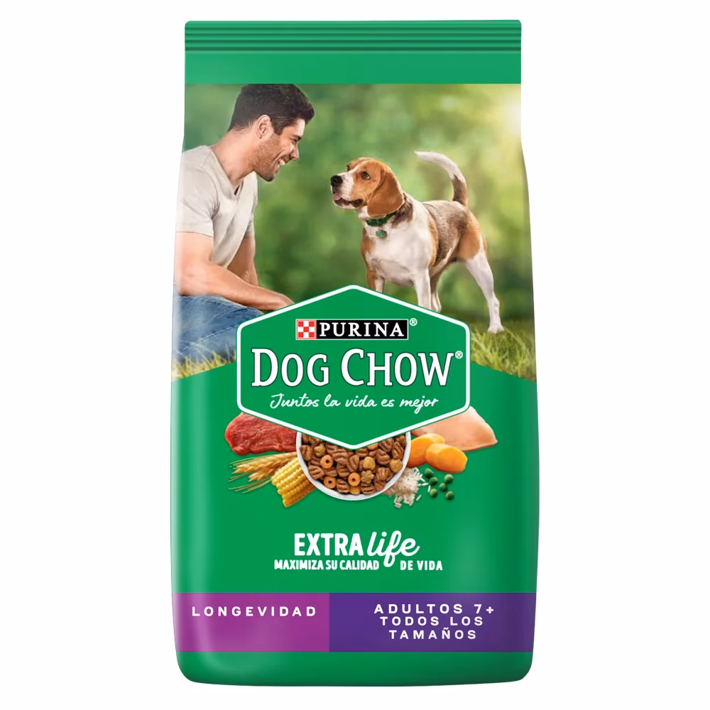 ¿Qué puedo darle de comer a mi perro para evitar que pierda pelo?