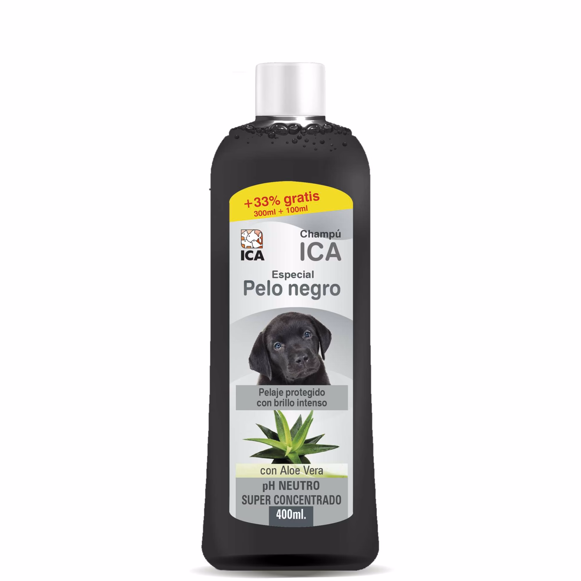 ¿Cómo ayudar a que el pelaje de tu perro se oscurezca?