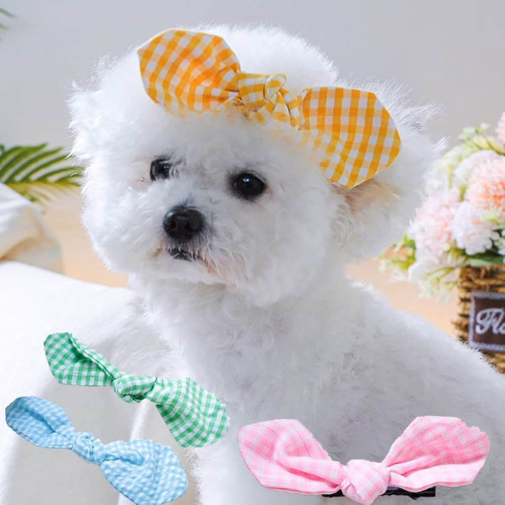 ¿Qué es la regla de los 7 segundos para los perros?