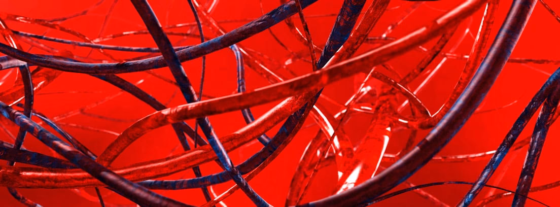 ¿Cómo es una vena real?