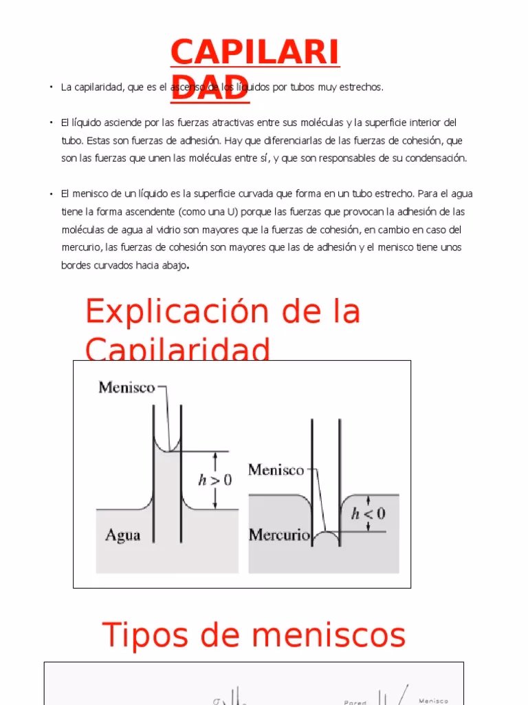 ¿Qué es el ascenso capilar?