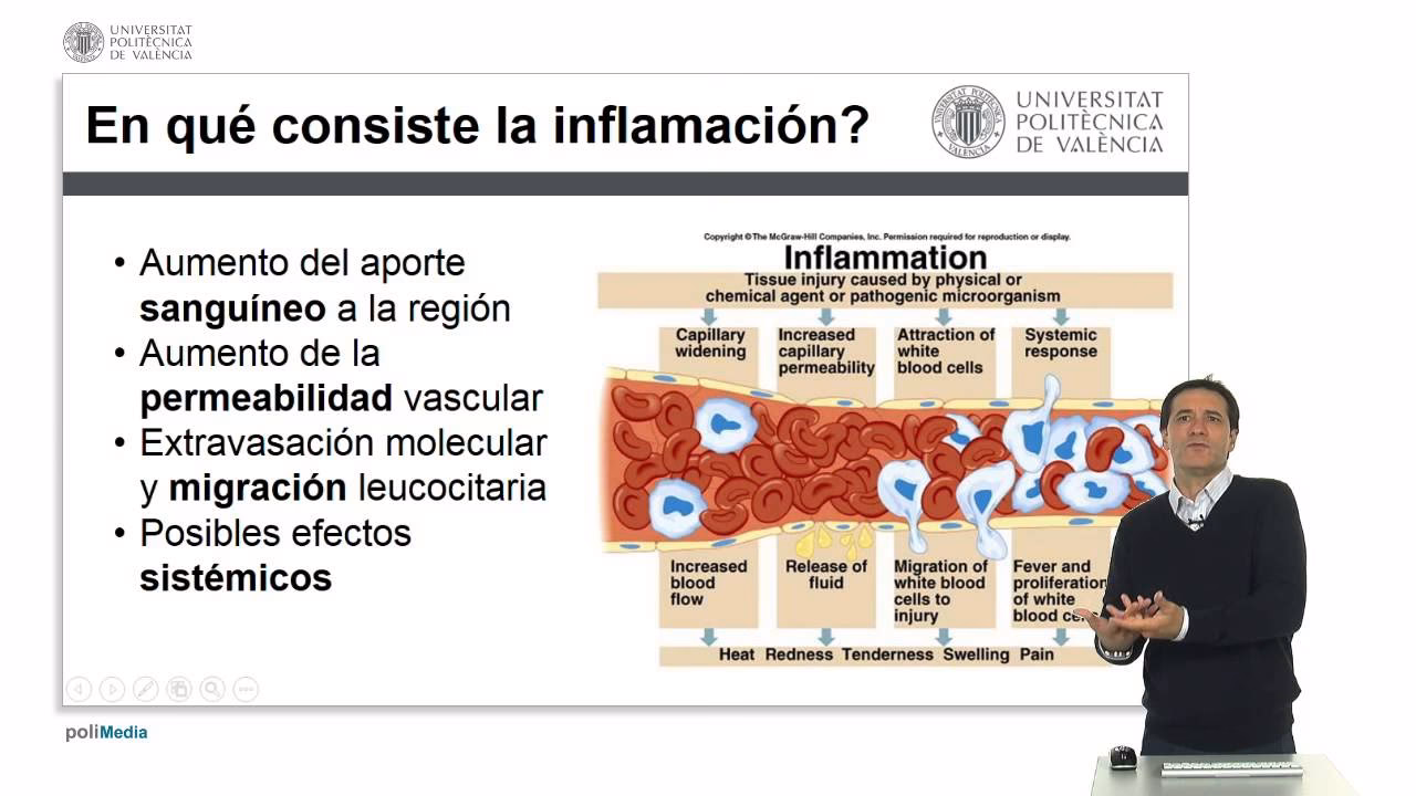 ¿Qué significa aumento de la permeabilidad?