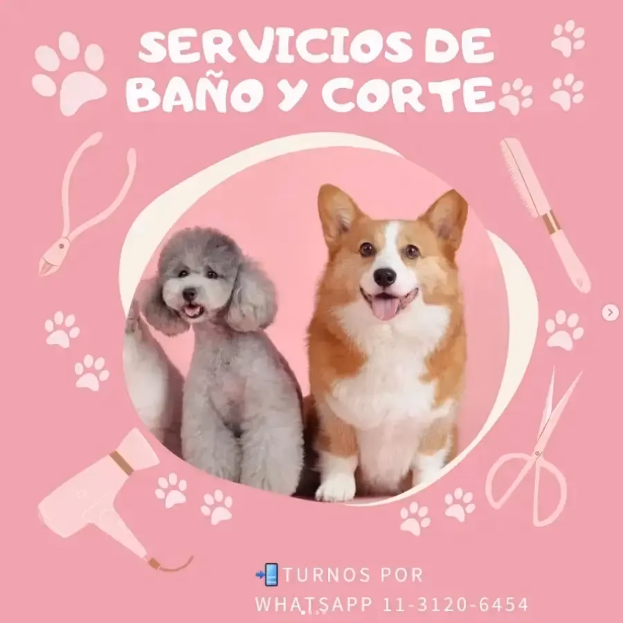 ¿Cuánto cobran por bañar y cortar el pelo a un perro?
