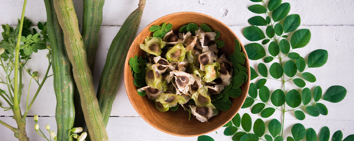 ¿Qué le hace la moringa al cerebro?