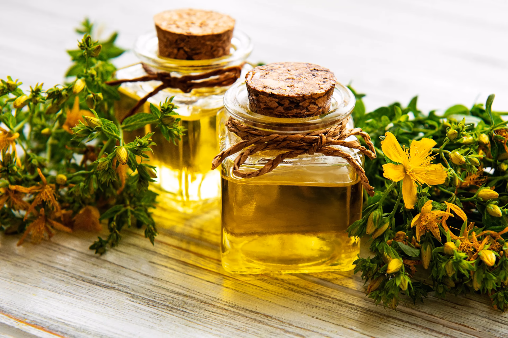 ¿Cuáles son 10 beneficios de la ruda?