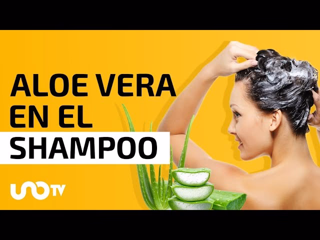 ¿Cómo se debe usar el aloe vera en el cabello?