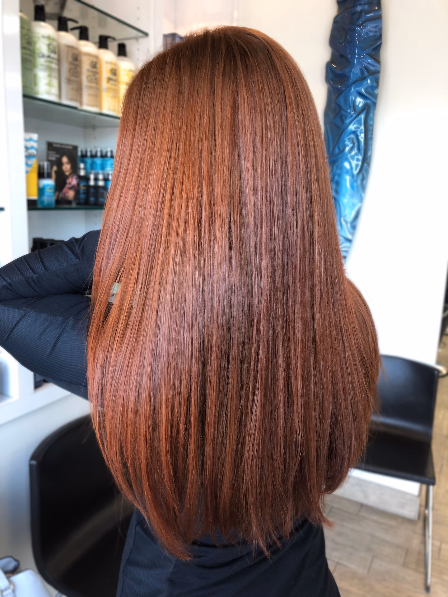 ¿Cómo es un castaño cobrizo?