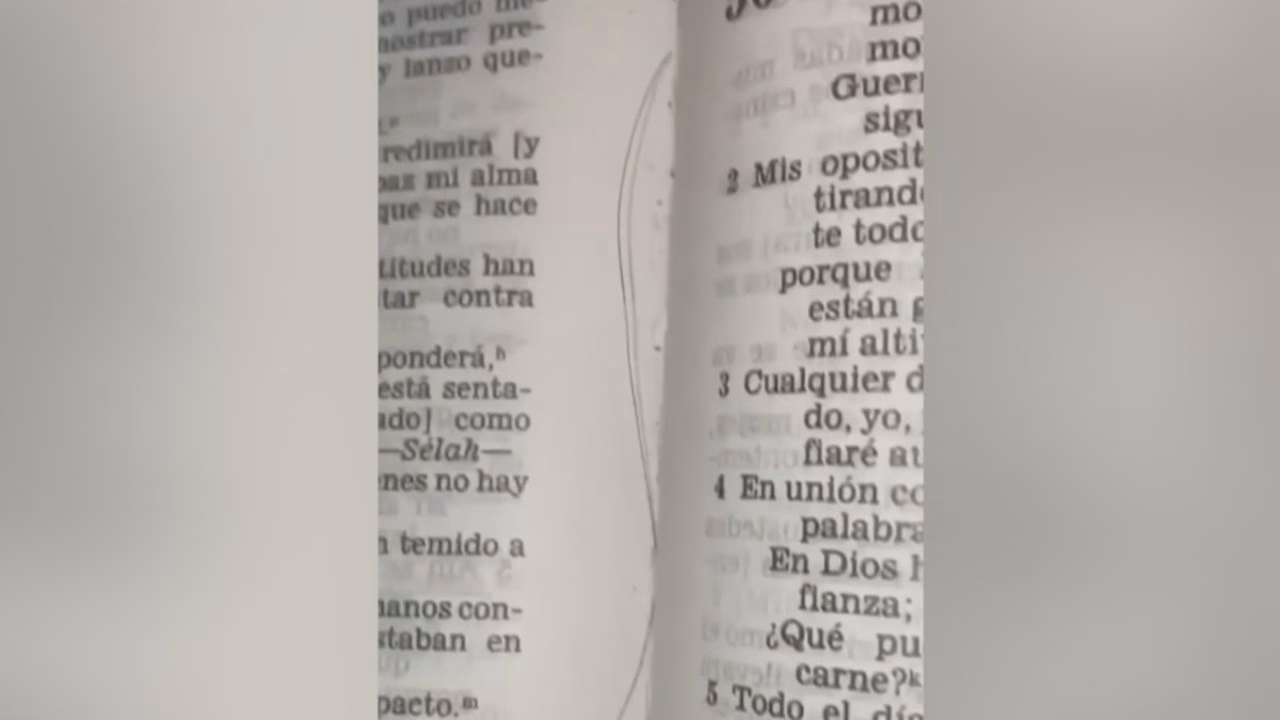 ¿Qué dice la Biblia sobre el tejido del cabello?