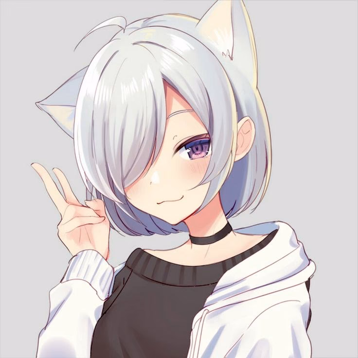 ¿Cómo se llaman las chicas de anime con orejas?