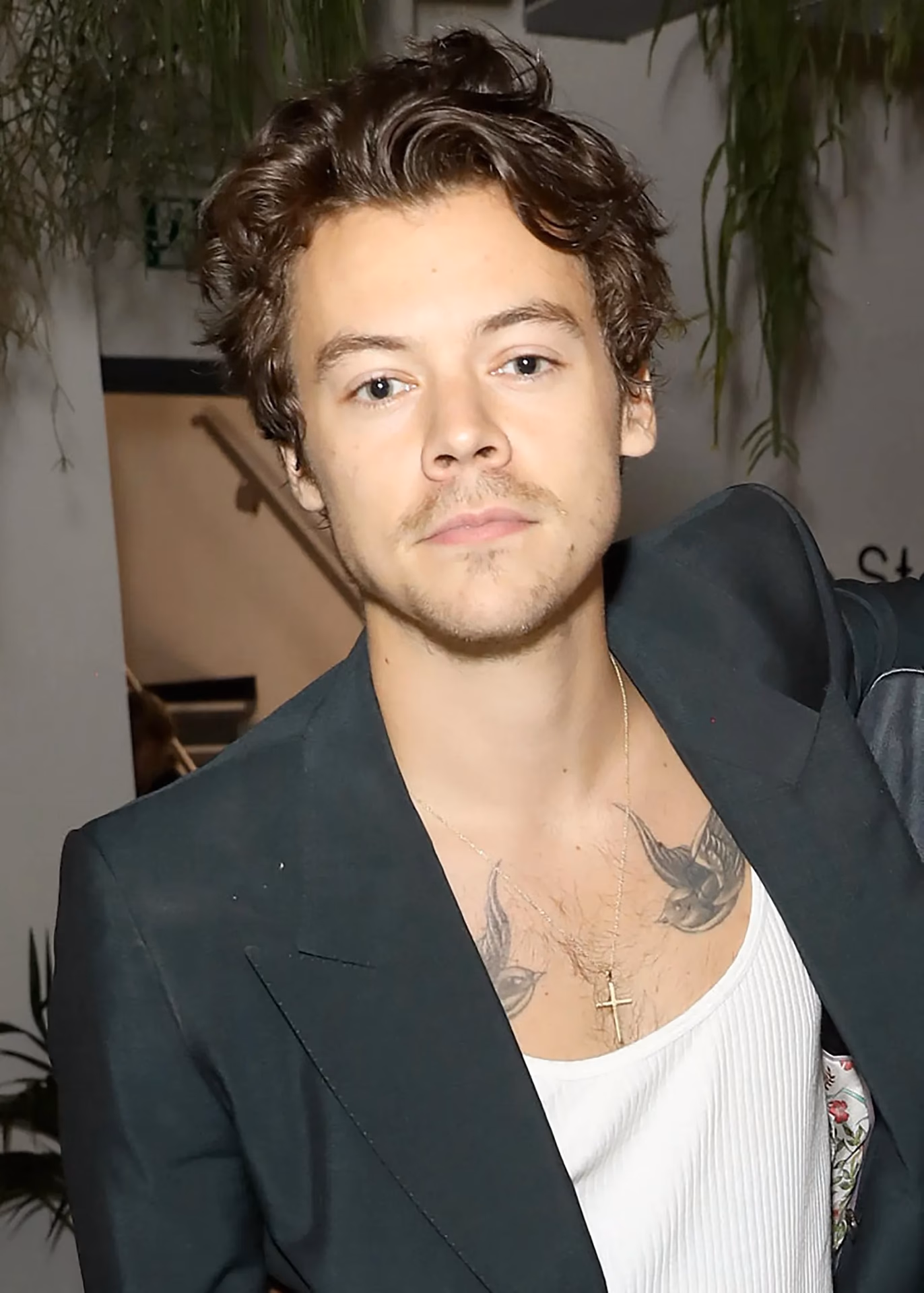 ¿Qué tipo de corte de pelo tiene Harry Styles?