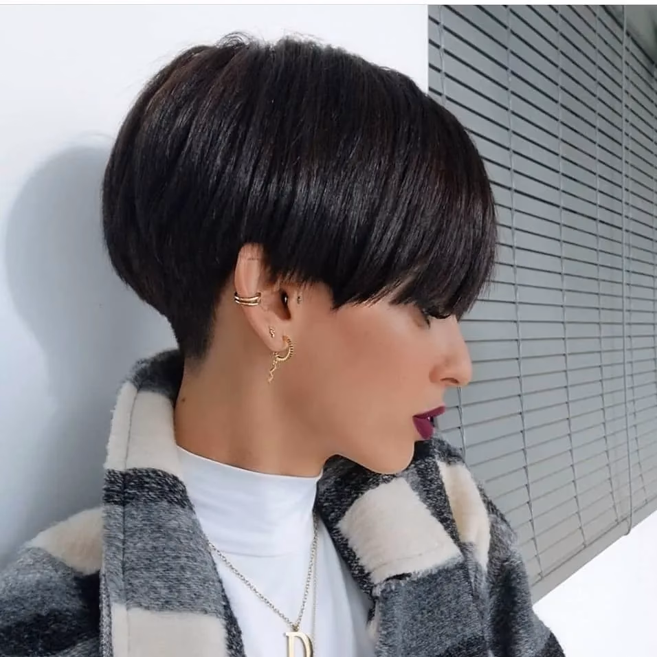 ¿Cómo se llama el pelo del hongo?