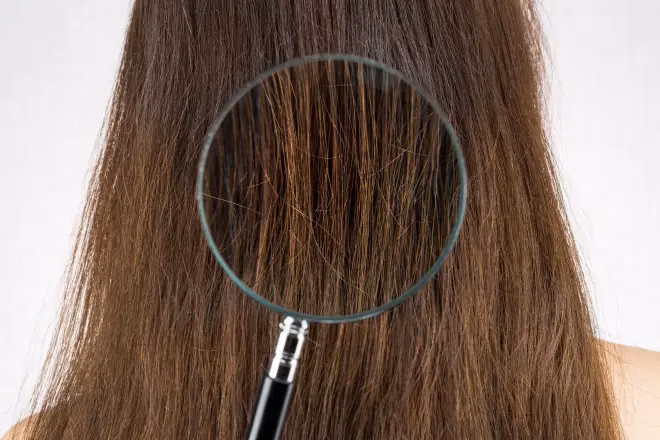 ¿Qué es bueno para el cabello quebradizo?