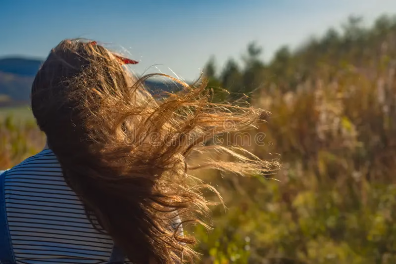 ¿Qué le pasa al cabello cuando el viento lo hace?