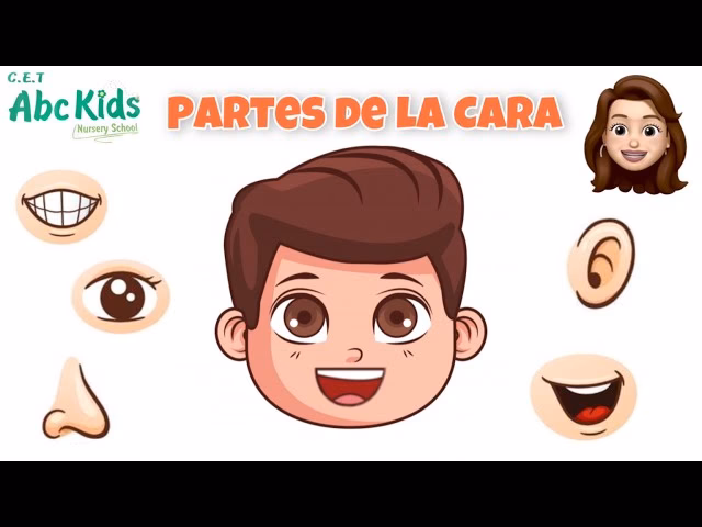 ¿Cómo se llaman los pelos de la cara?