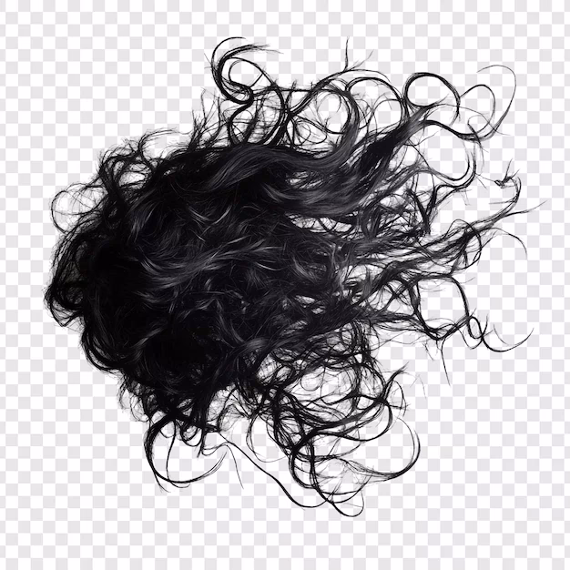¿Qué son las extensiones PNG?