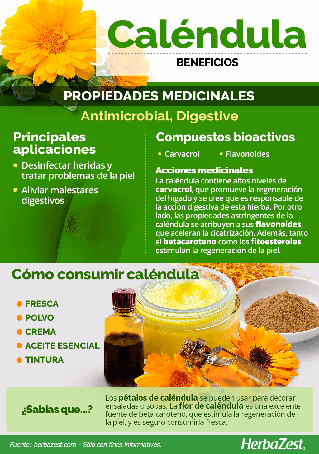 ¿Qué beneficios aporta la caléndula?
