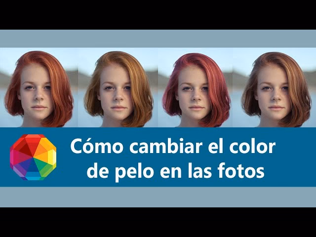 ¿Cómo se usa PicMonkey?