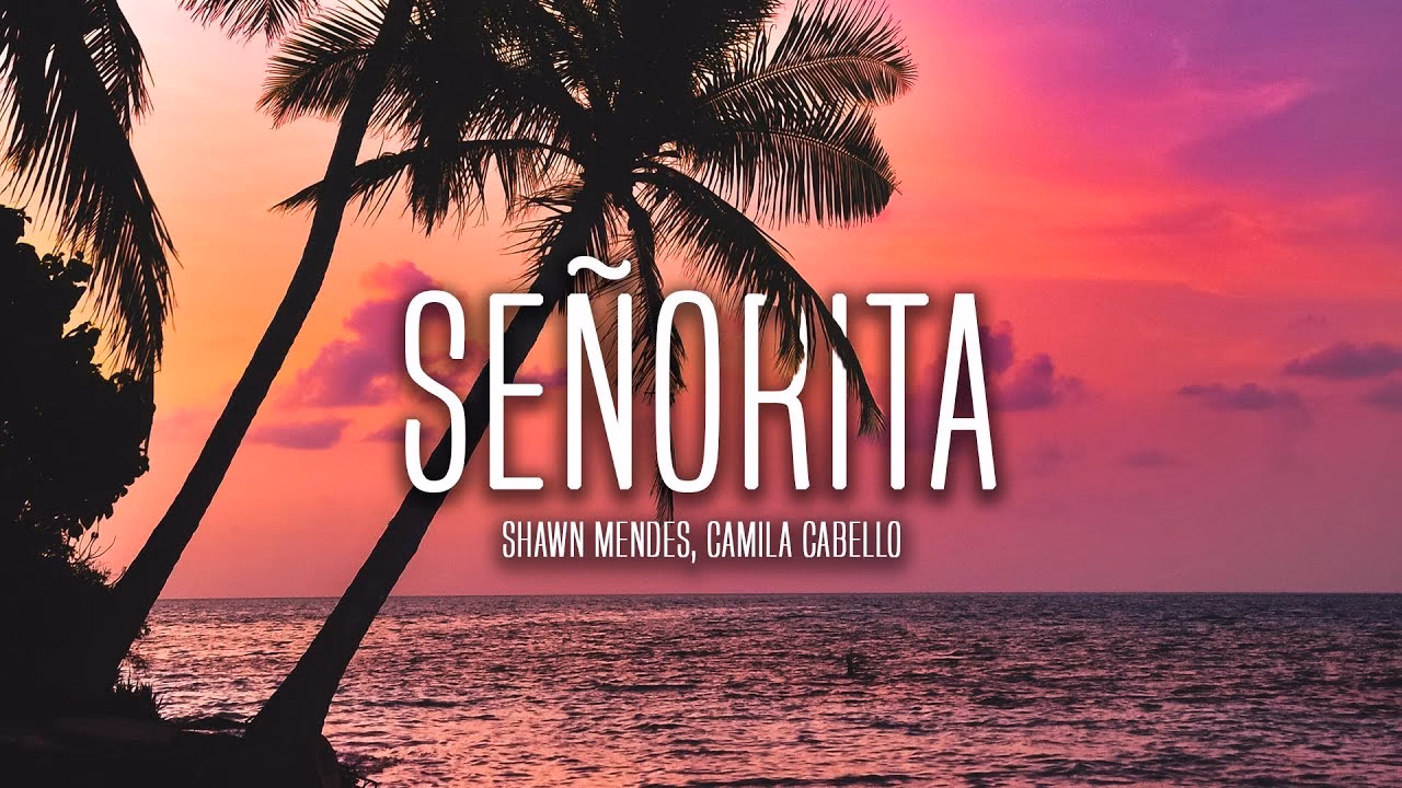 ¿Qué canción le dedicó Shawn Mendes a Camila Cabello?