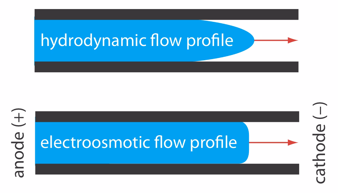 ¿Cuál es el modo normal de electroforesis capilar?