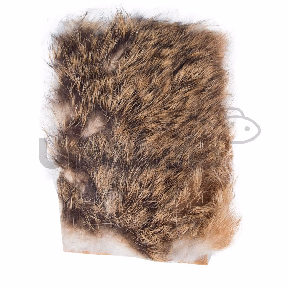 ¿Qué caracteriza a la liebre?