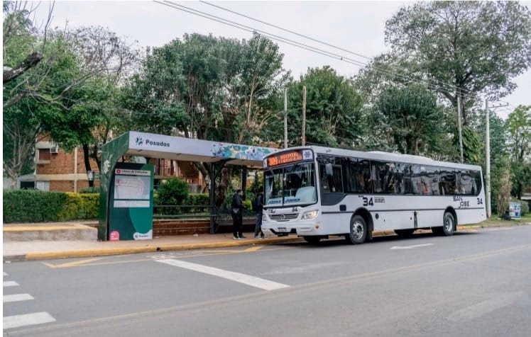 ¿Cómo se llama la aplicación para ver horarios de colectivos?