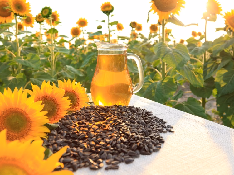 ¿El girasol es bueno para el crecimiento del cabello?