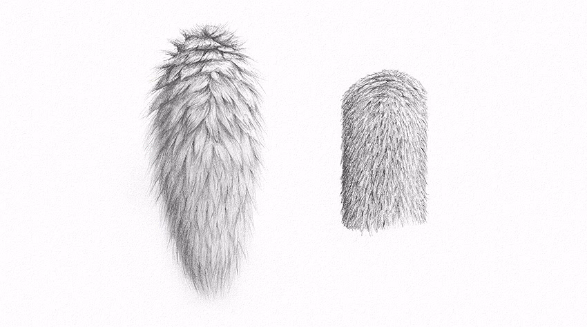 ¿Cómo dibujar fácilmente los animales?