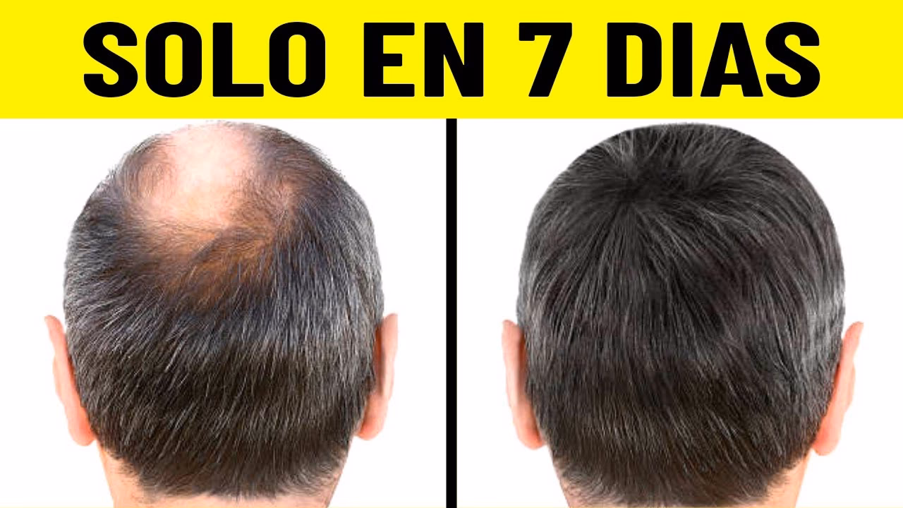 ¿Cómo puedo recuperar el grosor de mi cabello?