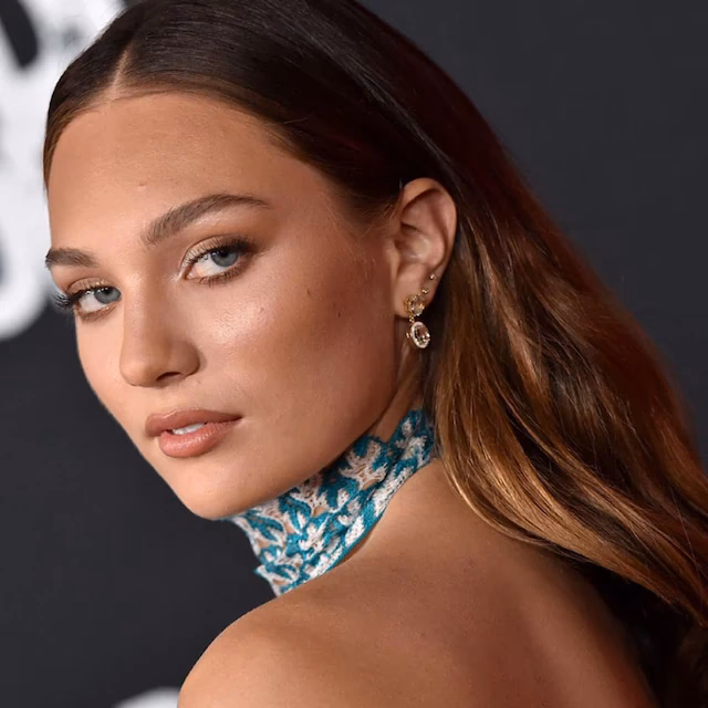 ¿Quién era la bailarina de Sia?