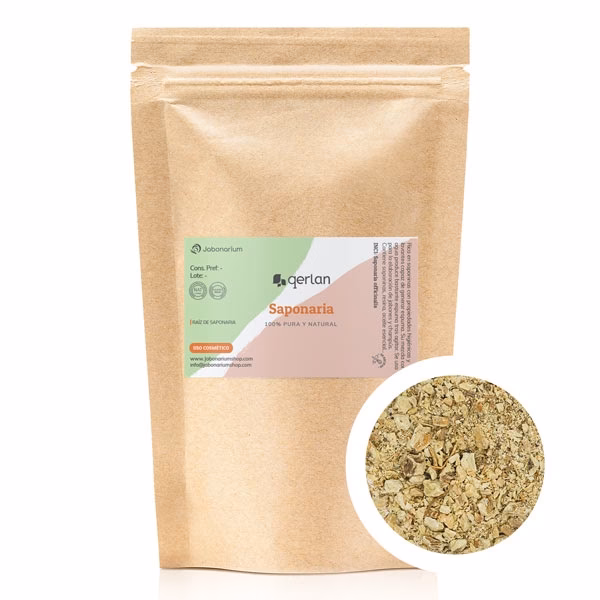 ¿Cómo se extrae la saponina?