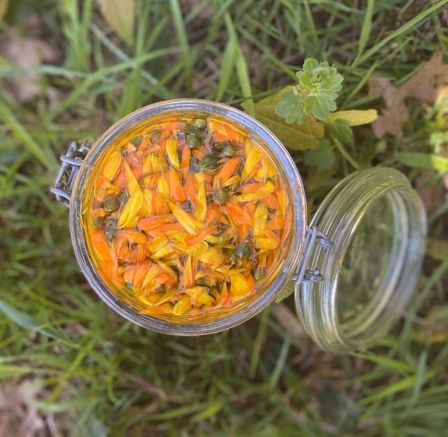 ¿Cuál es la proporción de caléndula y aceite?