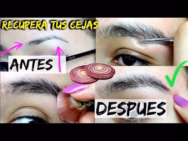 ¿Cómo hacer crecer las cejas y las pestañas rápidamente?