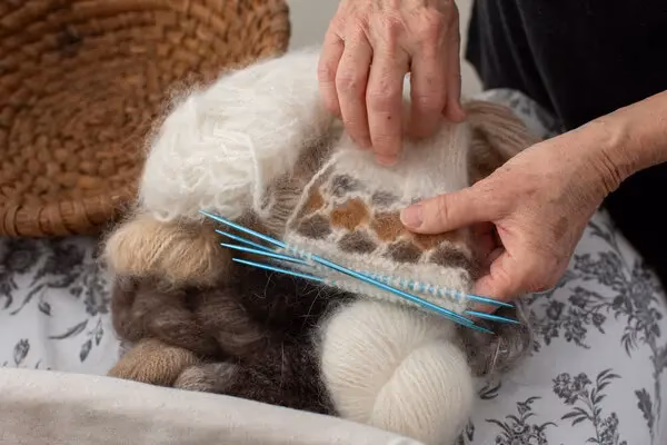 ¿Qué tela es mejor para pelos de perro?