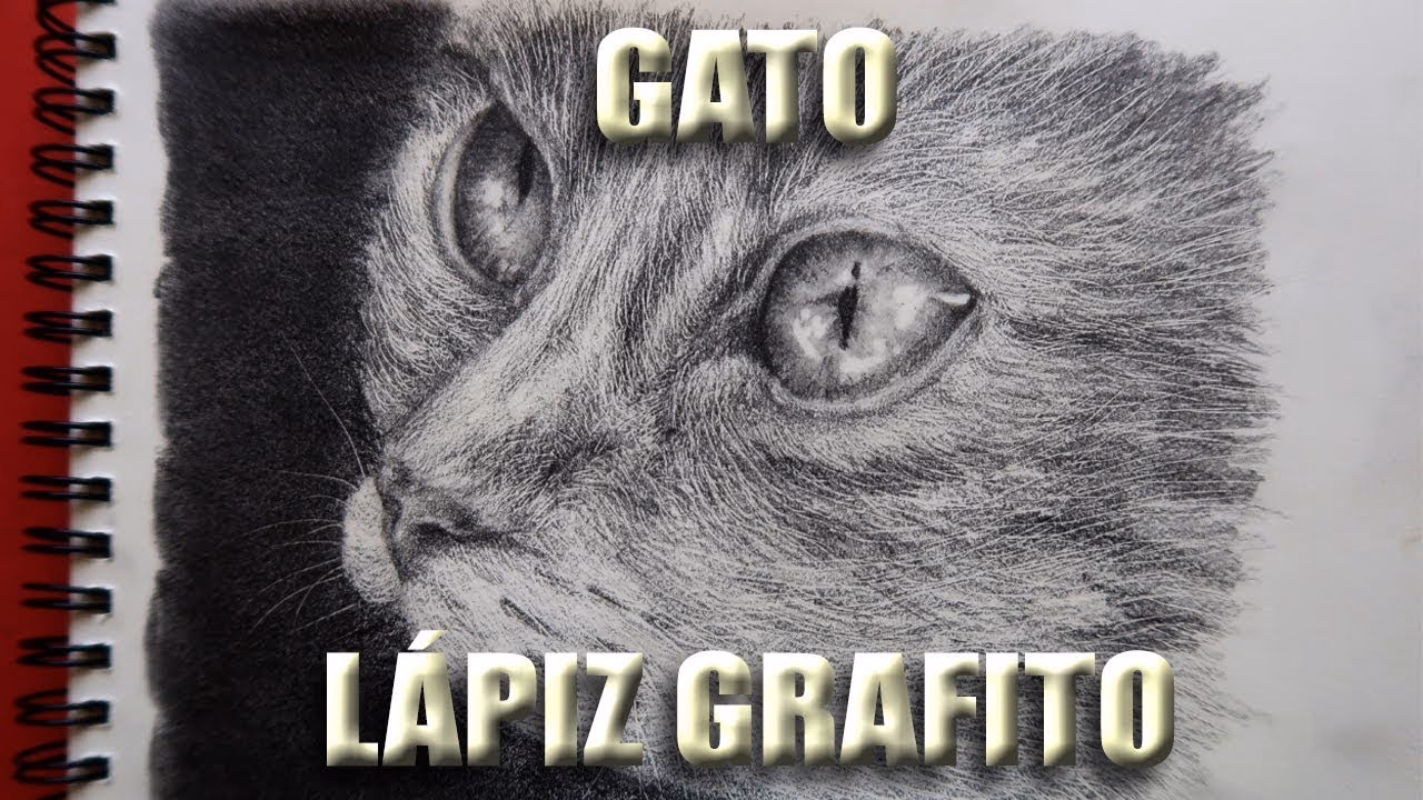 ¿Cómo hacer la guía de gato?