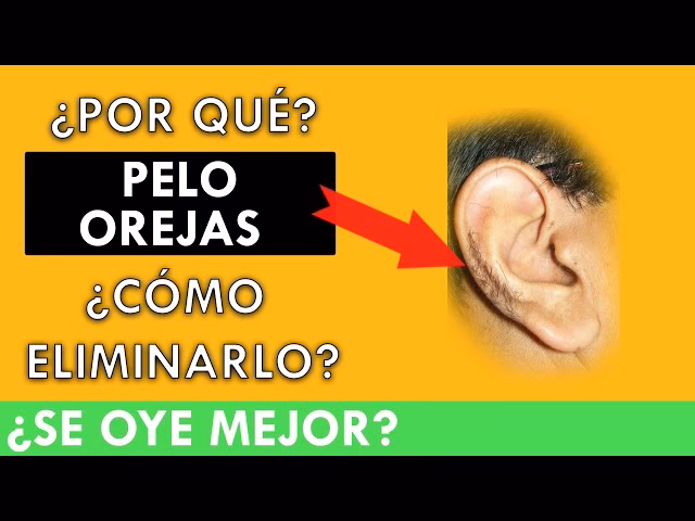 ¿Cómo se llaman los pelos en las orejas?