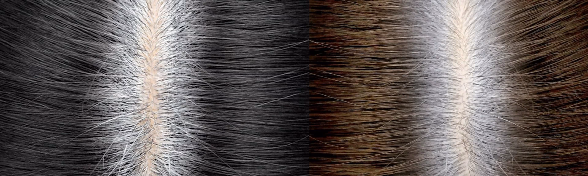 ¿Cómo secar la raíz del cabello?