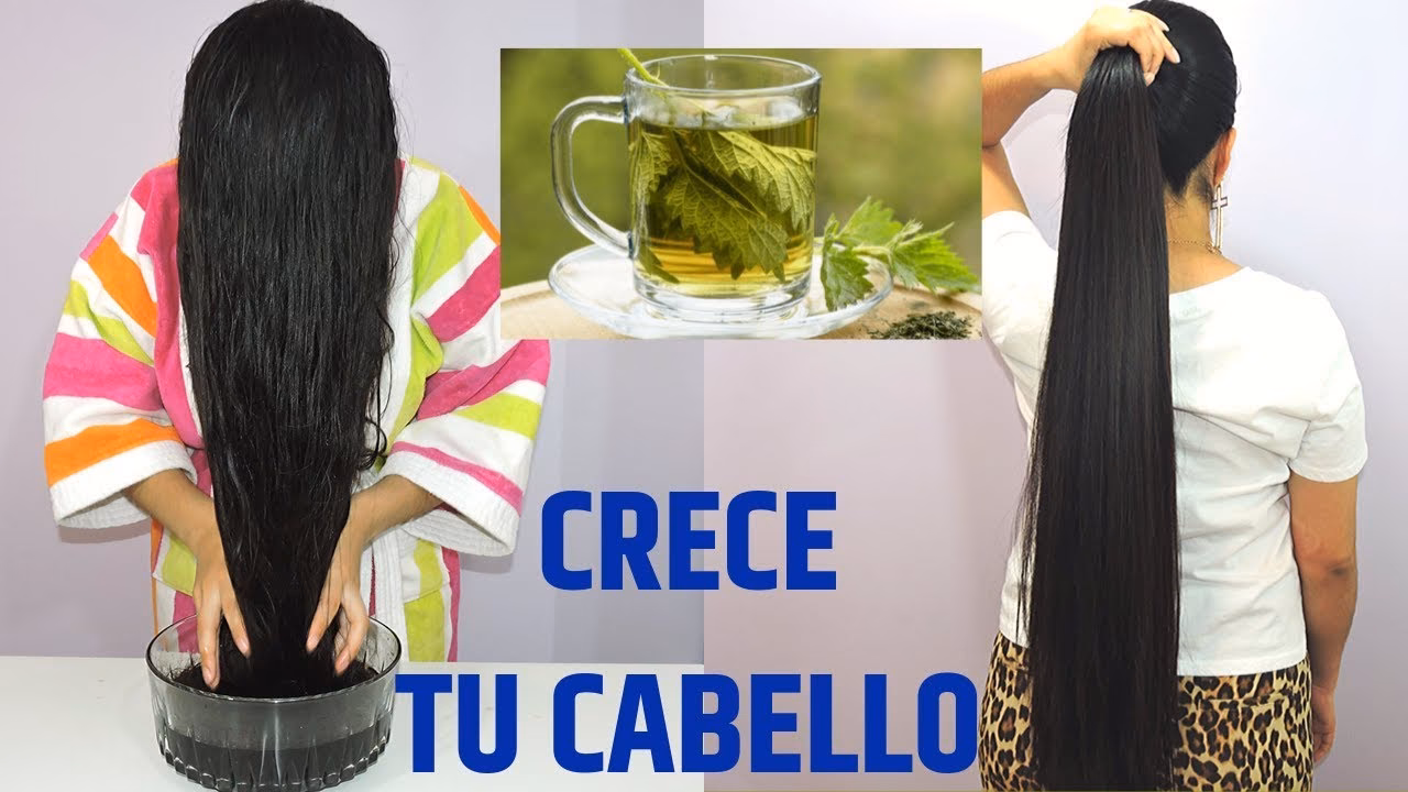 ¿Cómo puedo hacer una infusión de ortiga para el cabello?
