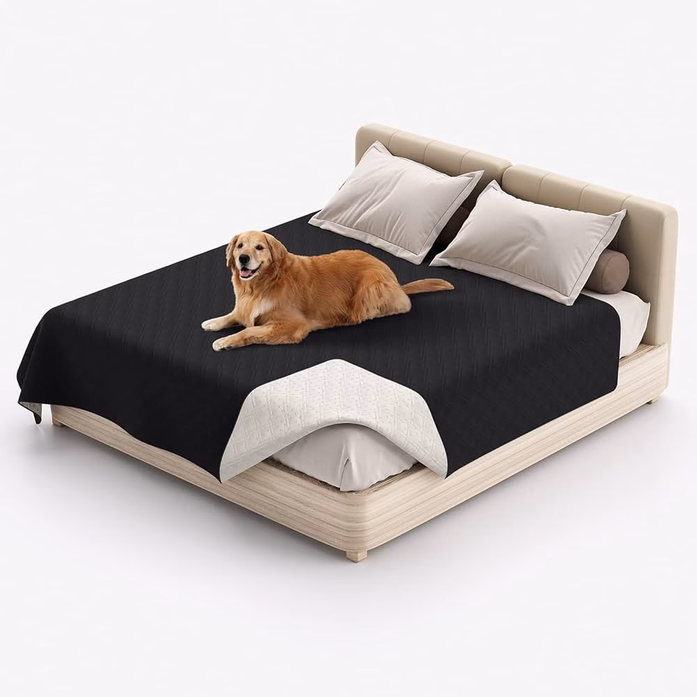 ¿Cómo evitar pelos de perro en la cama?