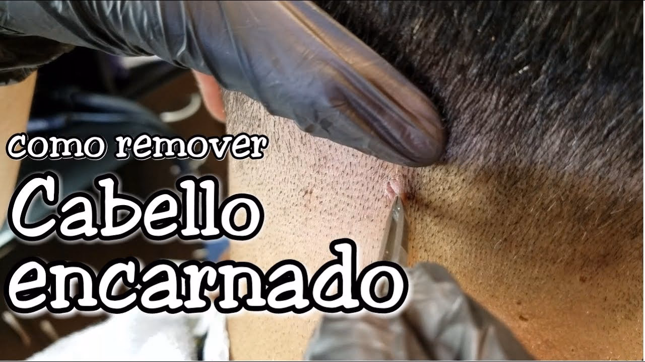 ¿Cómo quitar pelos de la ropa rápidamente?