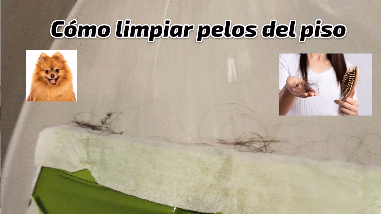 ¿Cómo deshacerse del cabello al trapear?