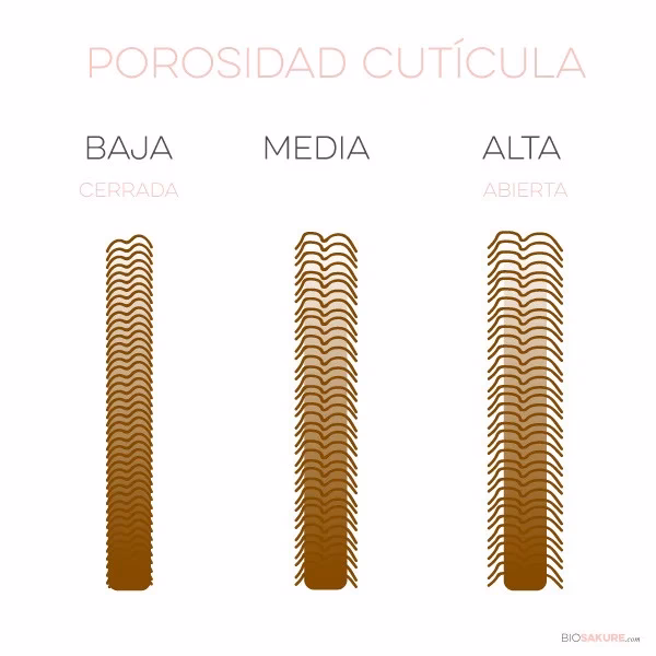 ¿Cómo se ve un pelo de porosidad baja?