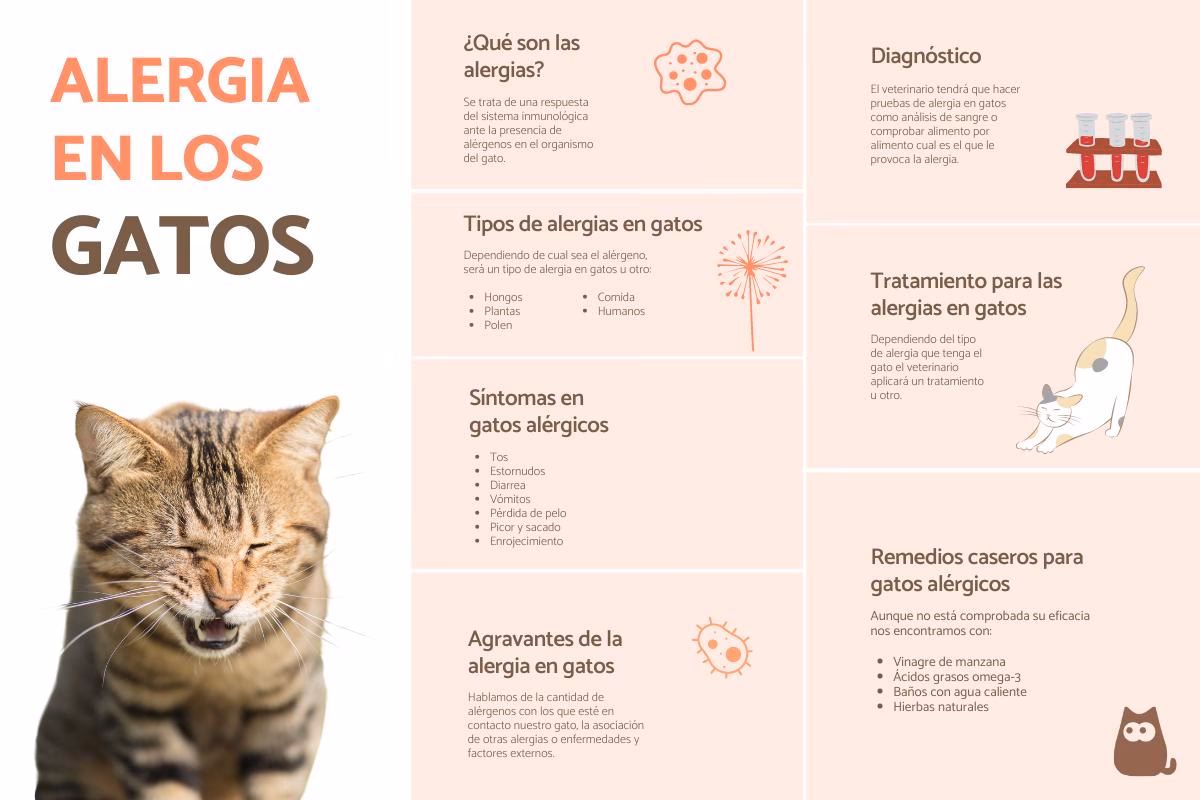 ¿Cómo se llama la alergia al gato?