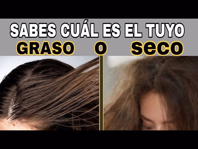 ¿Cuál es la diferencia entre pelo seco y pelo deshidratado?