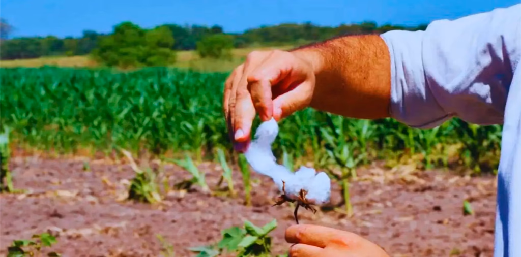 ¿Qué desechos no sirven para hacer el compost?
