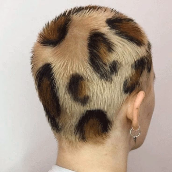 ¿Cómo se le dice a la ropa con manchas de leopardo?