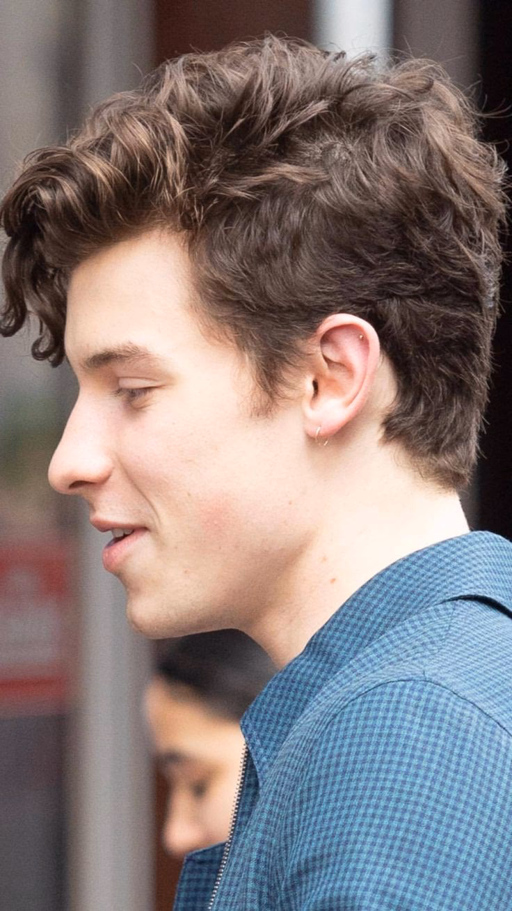 ¿Qué tipo de cabello tiene Shawn Mendes?