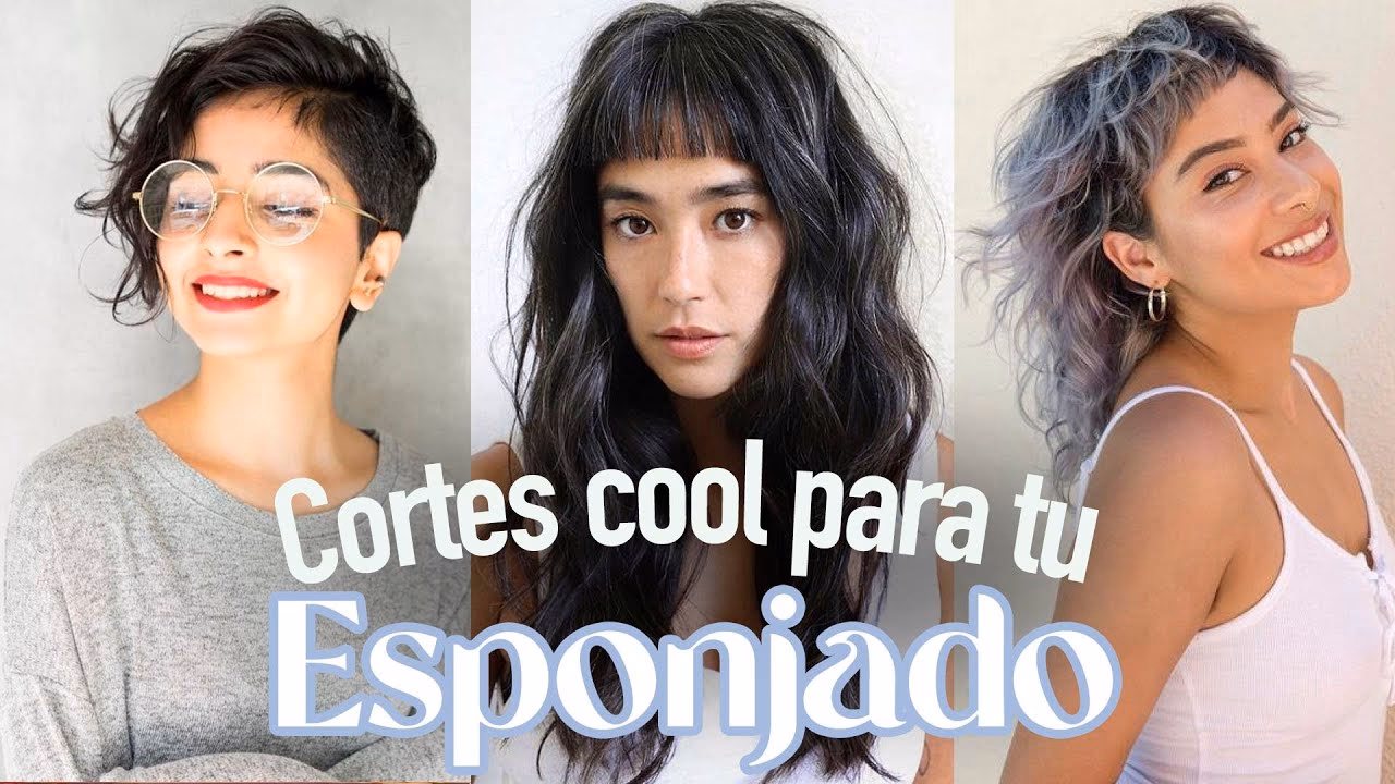 ¿Cómo se llama un corte de pelo esponjoso?