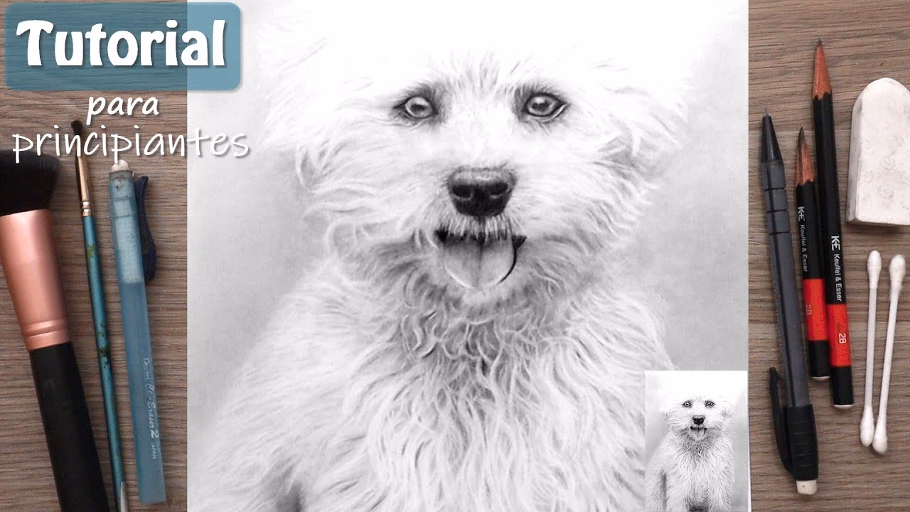 ¿Cómo puedo dibujar el pelaje de un gato?